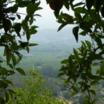 Ojai Hike