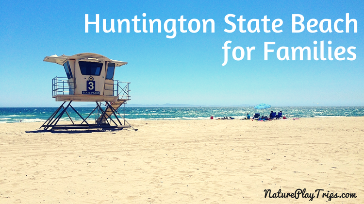 Huntington State Beach