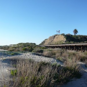 P1090262