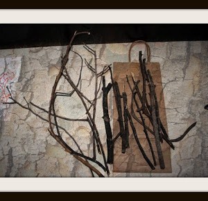 sticks