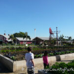 Centennial Farms