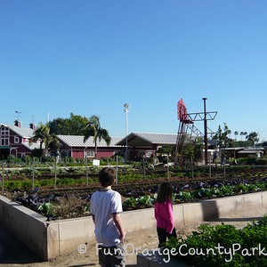 Centennial Farms