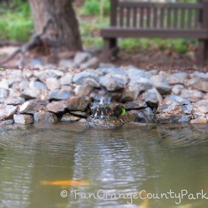 Tucker Wildlife Sanctuary