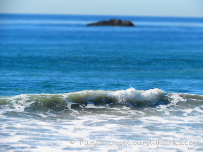 Dana Point Tide Pools: Marine Protected Area (MPA) - State Marine Conservation Area (SMCA)