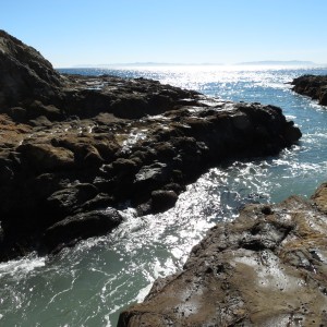 Abalone Cove