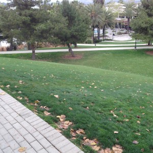 Aliso Viejo Town Center