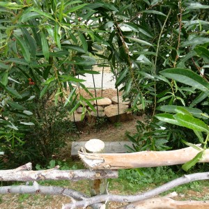 nature play