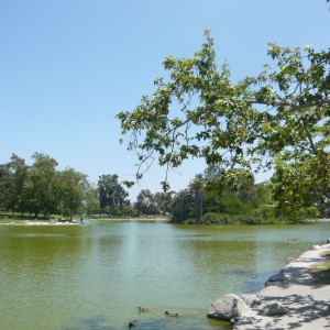 P1050390