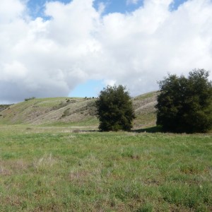 P1190063