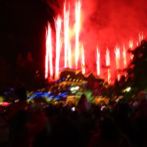 IMG_5482