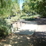P1170341