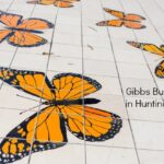gibbs-butterfly-park