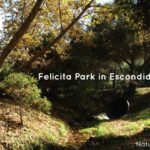 felicita-featured