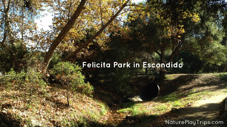 felicita-featured