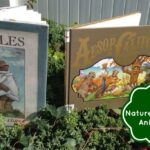 nature-book
