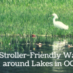 15 Stroller Friendly Walks