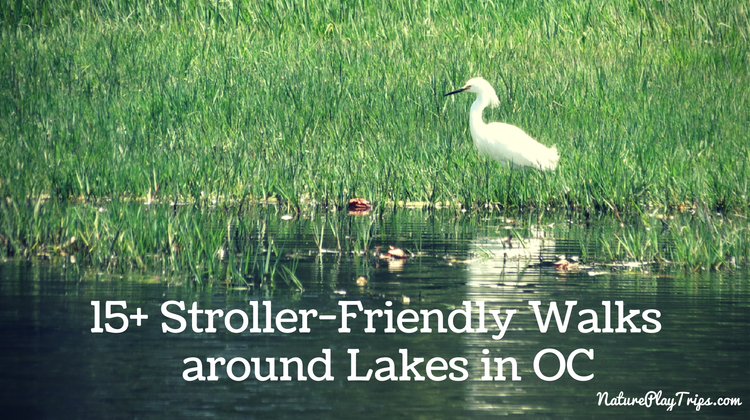 15 Stroller Friendly Walks