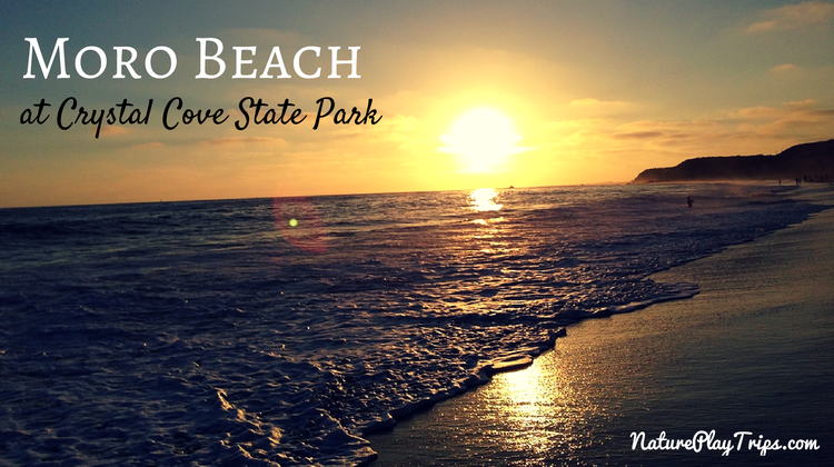 Moro Beach at Crystal Cove State Park