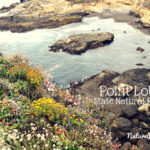 Point Lobos State Natural Preserve